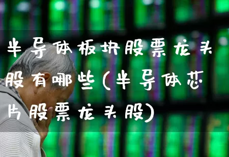 半导体板块股票龙头股有哪些(半导体芯片股票龙头股)_https://www.xzdzcjx.com_科创板_第1张