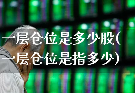 一层仓位是多少股(一层仓位是指多少)_https://www.xzdzcjx.com_上交所_第1张
