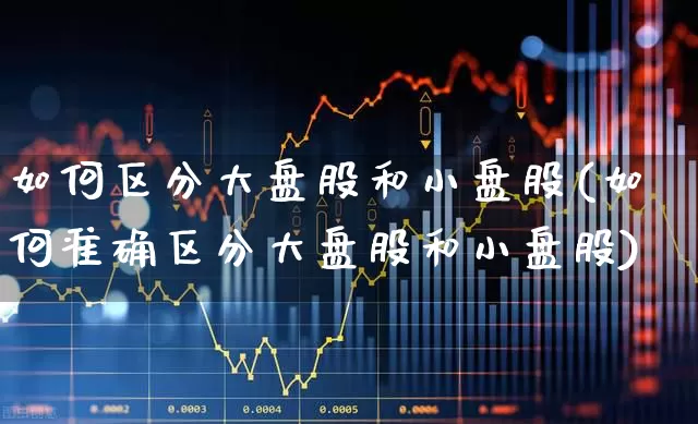 如何区分大盘股和小盘股(如何准确区分大盘股和小盘股)_https://www.xzdzcjx.com_上交所_第1张