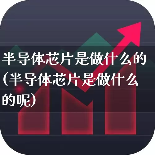半导体芯片是做什么的(半导体芯片是做什么的呢)_https://www.xzdzcjx.com_北交所_第1张