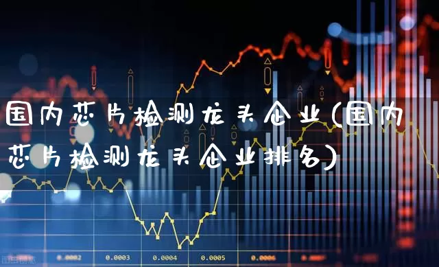 国内芯片检测龙头企业(国内芯片检测龙头企业排名)_https://www.xzdzcjx.com_创业板_第1张