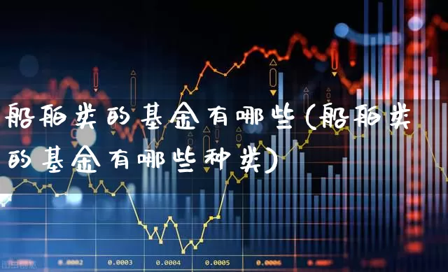 船舶类的基金有哪些(船舶类的基金有哪些种类)_https://www.xzdzcjx.com_深交所_第1张