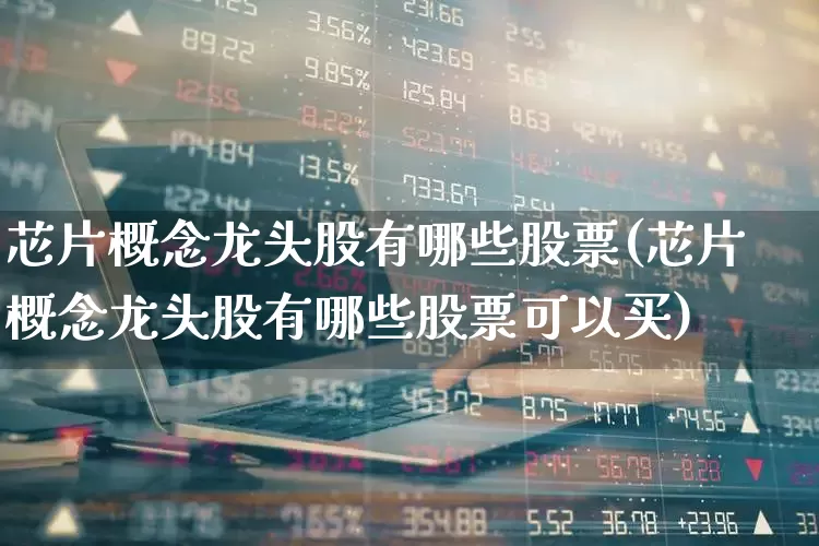 芯片概念龙头股有哪些股票(芯片概念龙头股有哪些股票可以买)_https://www.xzdzcjx.com_科创板_第1张