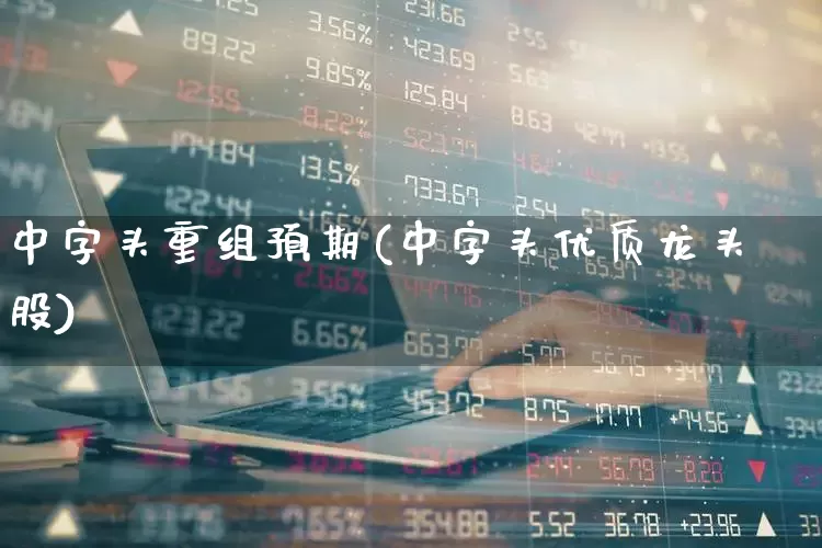 中字头重组预期(中字头优质龙头股)_https://www.xzdzcjx.com_科创板_第1张