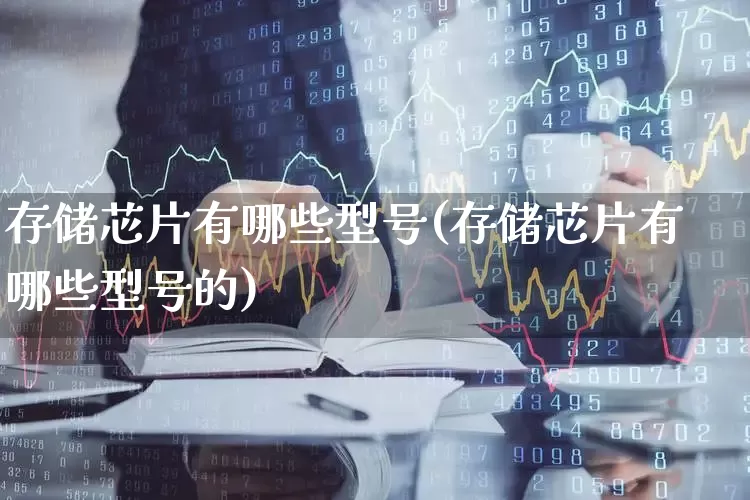 存储芯片有哪些型号(存储芯片有哪些型号的)_https://www.xzdzcjx.com_深交所_第1张