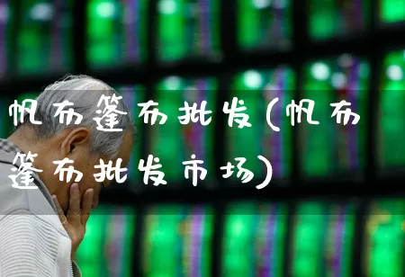 帆布篷布批发(帆布篷布批发市场)_https://www.xzdzcjx.com_北交所_第1张