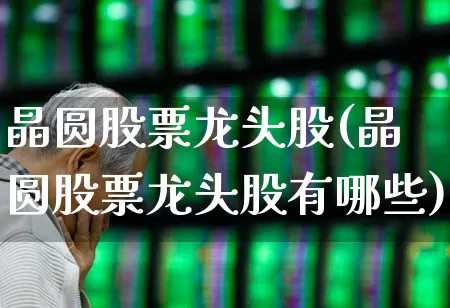 晶圆股票龙头股(晶圆股票龙头股有哪些)_https://www.xzdzcjx.com_科创板_第1张