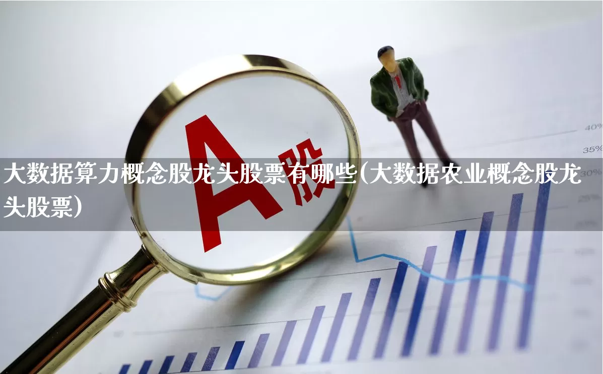 大数据算力概念股龙头股票有哪些(大数据农业概念股龙头股票)_https://www.xzdzcjx.com_创业板_第1张
