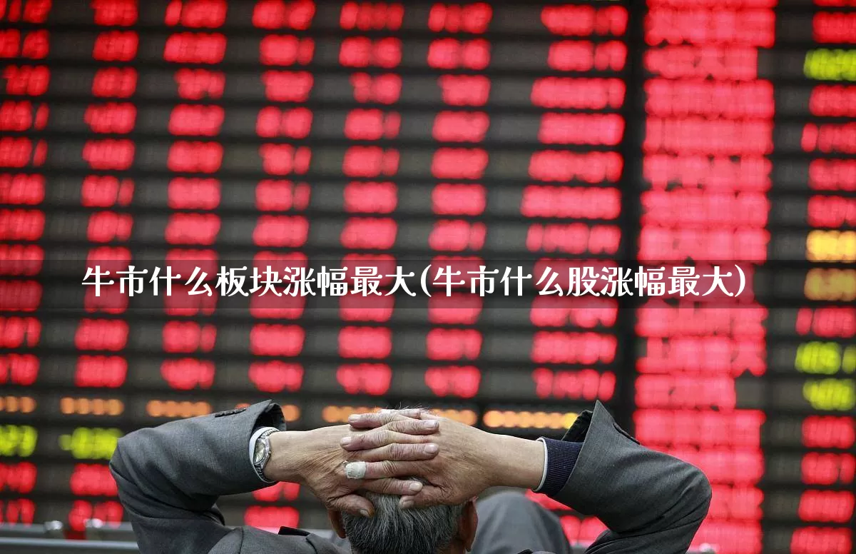 牛市什么板块涨幅最大(牛市什么股涨幅最大)_https://www.xzdzcjx.com_深交所_第1张