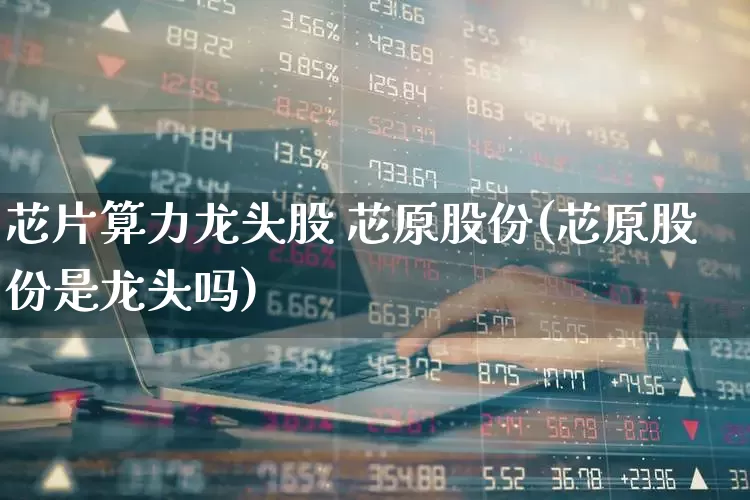 芯片算力龙头股 芯原股份(芯原股份是龙头吗)_https://www.xzdzcjx.com_科创板_第1张