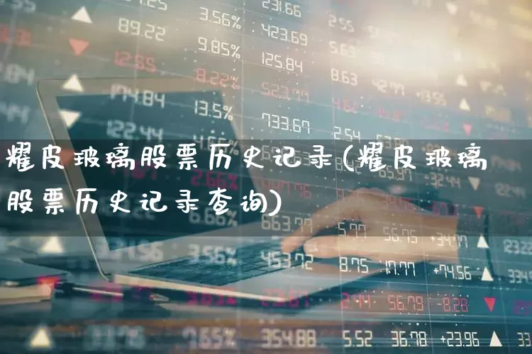 耀皮玻璃股票历史记录(耀皮玻璃股票历史记录查询)_https://www.xzdzcjx.com_北交所_第1张