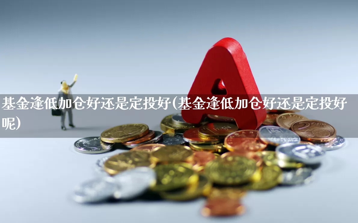 基金逢低加仓好还是定投好(基金逢低加仓好还是定投好呢)_https://www.xzdzcjx.com_北交所_第1张