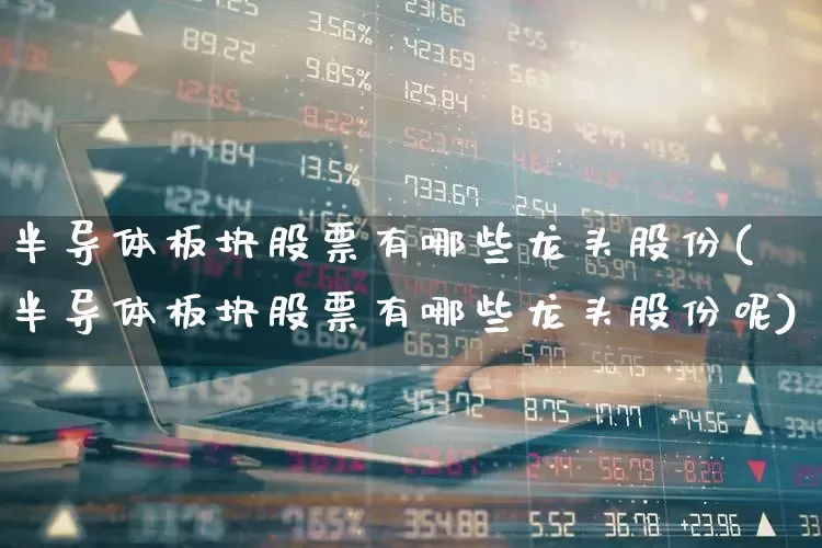 半导体板块股票有哪些龙头股份(半导体板块股票有哪些龙头股份呢)_https://www.xzdzcjx.com_科创板_第1张