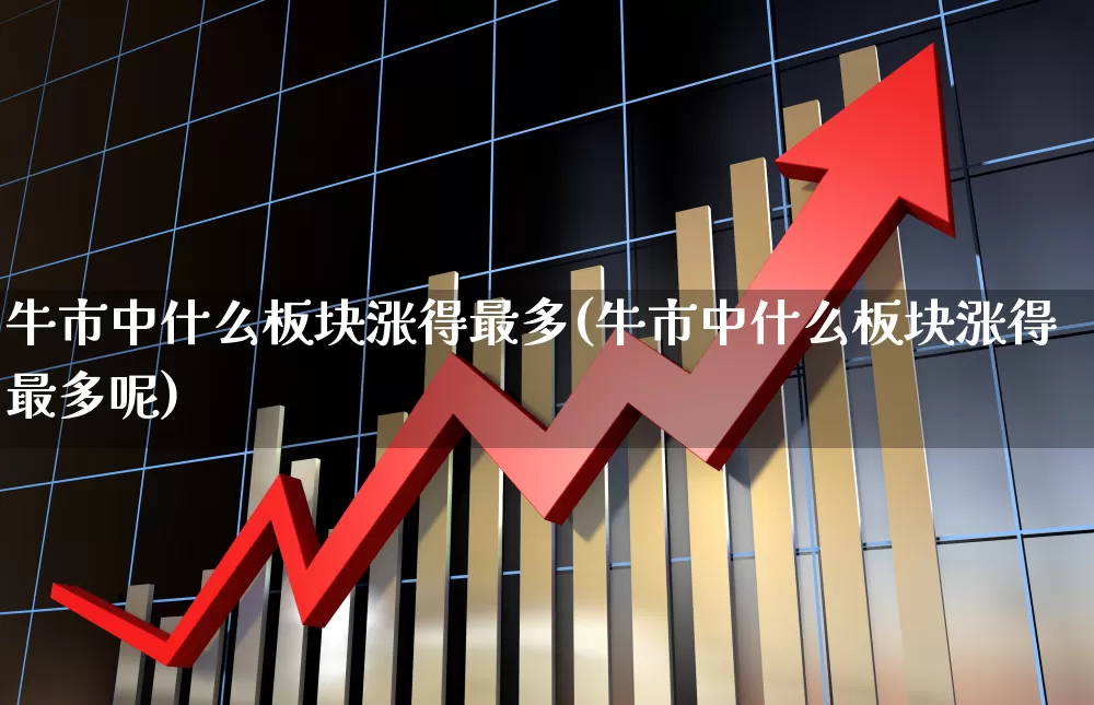 牛市中什么板块涨得最多(牛市中什么板块涨得最多呢)_https://www.xzdzcjx.com_上交所_第1张
