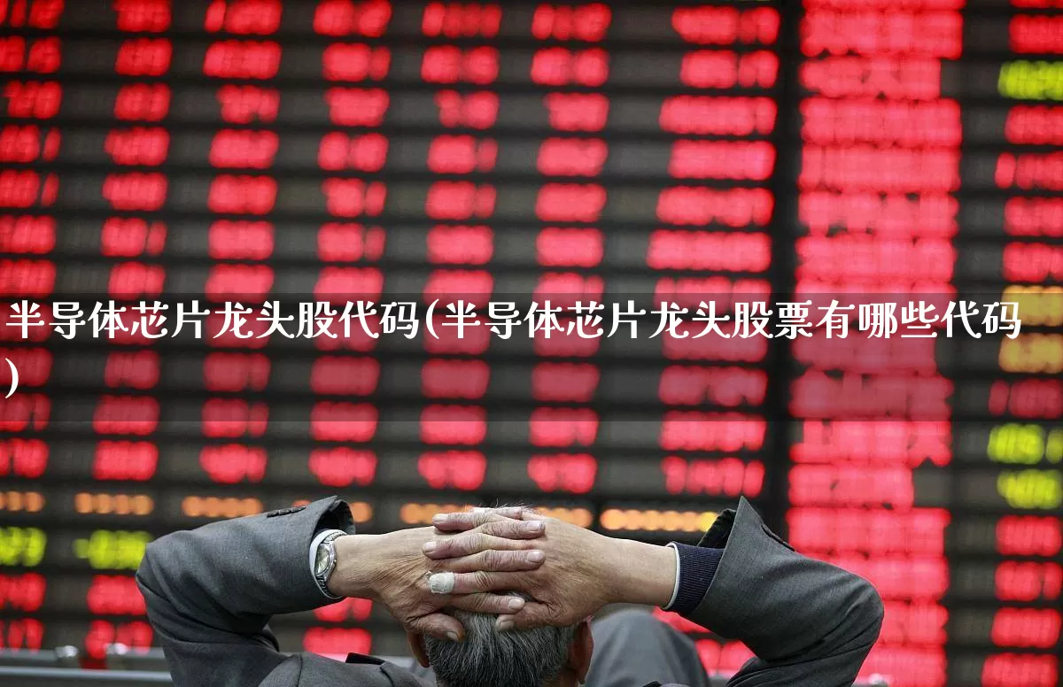 半导体芯片龙头股代码(半导体芯片龙头股票有哪些代码)_https://www.xzdzcjx.com_北交所_第1张