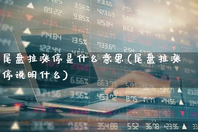 尾盘拉涨停是什么意思(尾盘拉涨停说明什么)_https://www.xzdzcjx.com_北交所_第1张