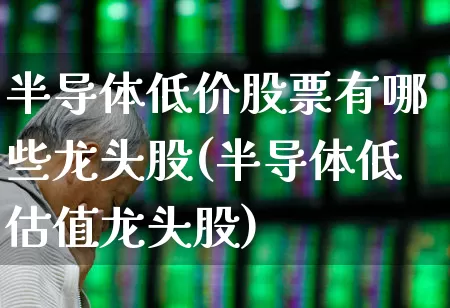 半导体低价股票有哪些龙头股(半导体低估值龙头股)_https://www.xzdzcjx.com_深交所_第1张