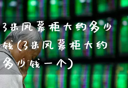 3米风幕柜大约多少钱(3米风幕柜大约多少钱一个)_https://www.xzdzcjx.com_上交所_第1张
