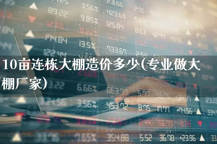 10亩连栋大棚造价多少(专业做大棚厂家)_https://www.xzdzcjx.com_创业板_第1张