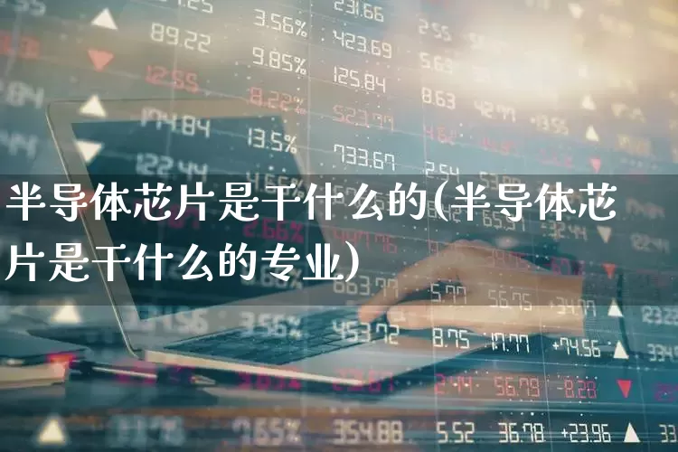 半导体芯片是干什么的(半导体芯片是干什么的专业)_https://www.xzdzcjx.com_北交所_第1张