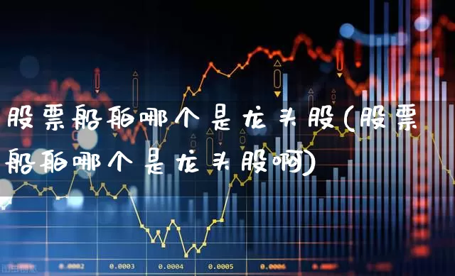 股票船舶哪个是龙头股(股票船舶哪个是龙头股啊)_https://www.xzdzcjx.com_创业板_第1张