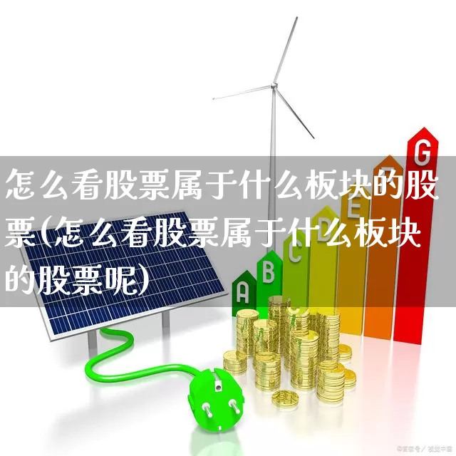 怎么看股票属于什么板块的股票(怎么看股票属于什么板块的股票呢)_https://www.xzdzcjx.com_科创板_第1张