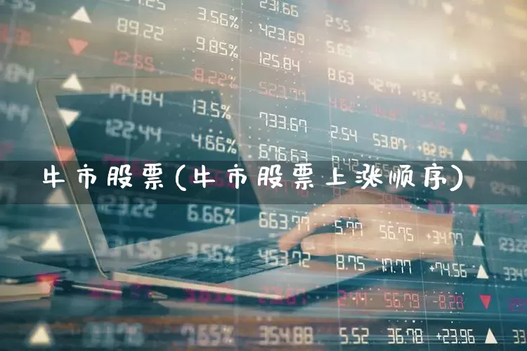 牛市股票(牛市股票上涨顺序)_https://www.xzdzcjx.com_创业板_第1张