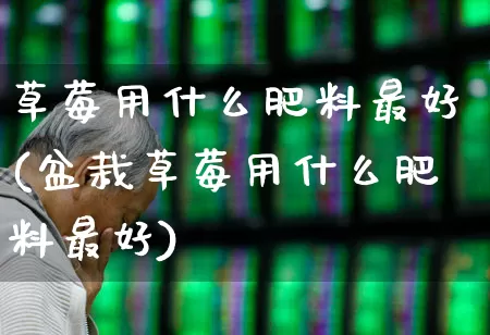 草莓用什么肥料最好(盆栽草莓用什么肥料最好)_https://www.xzdzcjx.com_深交所_第1张