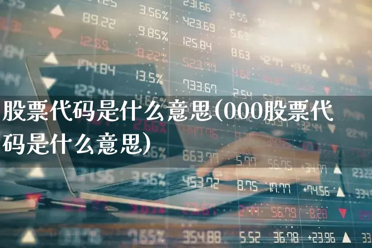 股票代码是什么意思(000股票代码是什么意思)_https://www.xzdzcjx.com_科创板_第1张