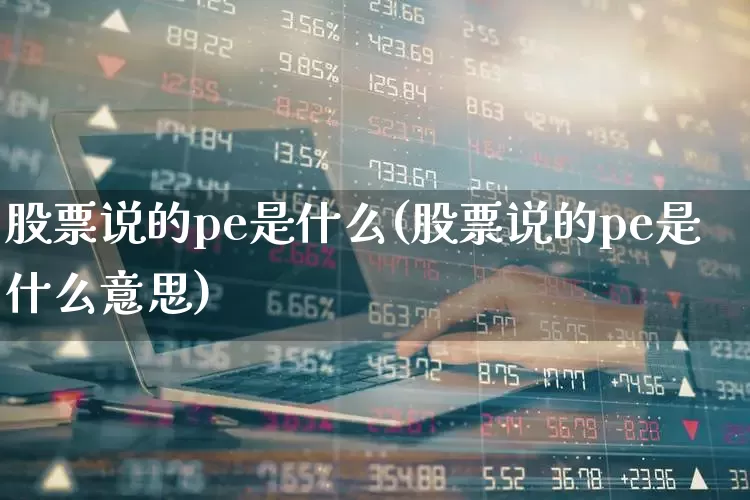 股票说的pe是什么(股票说的pe是什么意思)_https://www.xzdzcjx.com_科创板_第1张