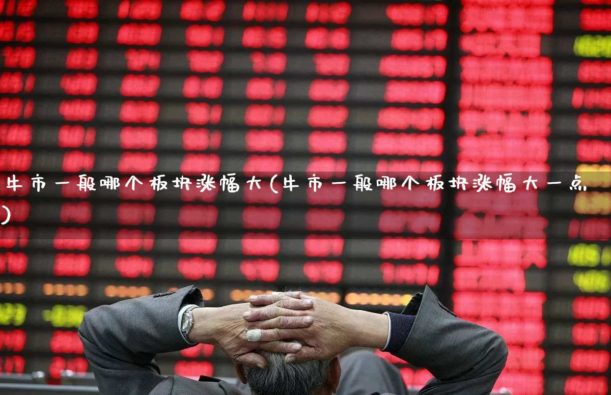 牛市一般哪个板块涨幅大(牛市一般哪个板块涨幅大一点)_https://www.xzdzcjx.com_科创板_第1张