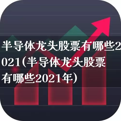 半导体龙头股票有哪些2021(半导体龙头股票有哪些2021年)_https://www.xzdzcjx.com_北交所_第1张