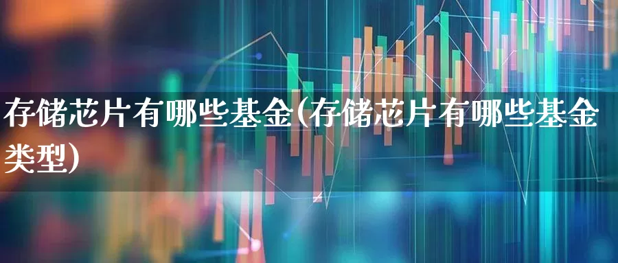 存储芯片有哪些基金(存储芯片有哪些基金类型)_https://www.xzdzcjx.com_科创板_第1张