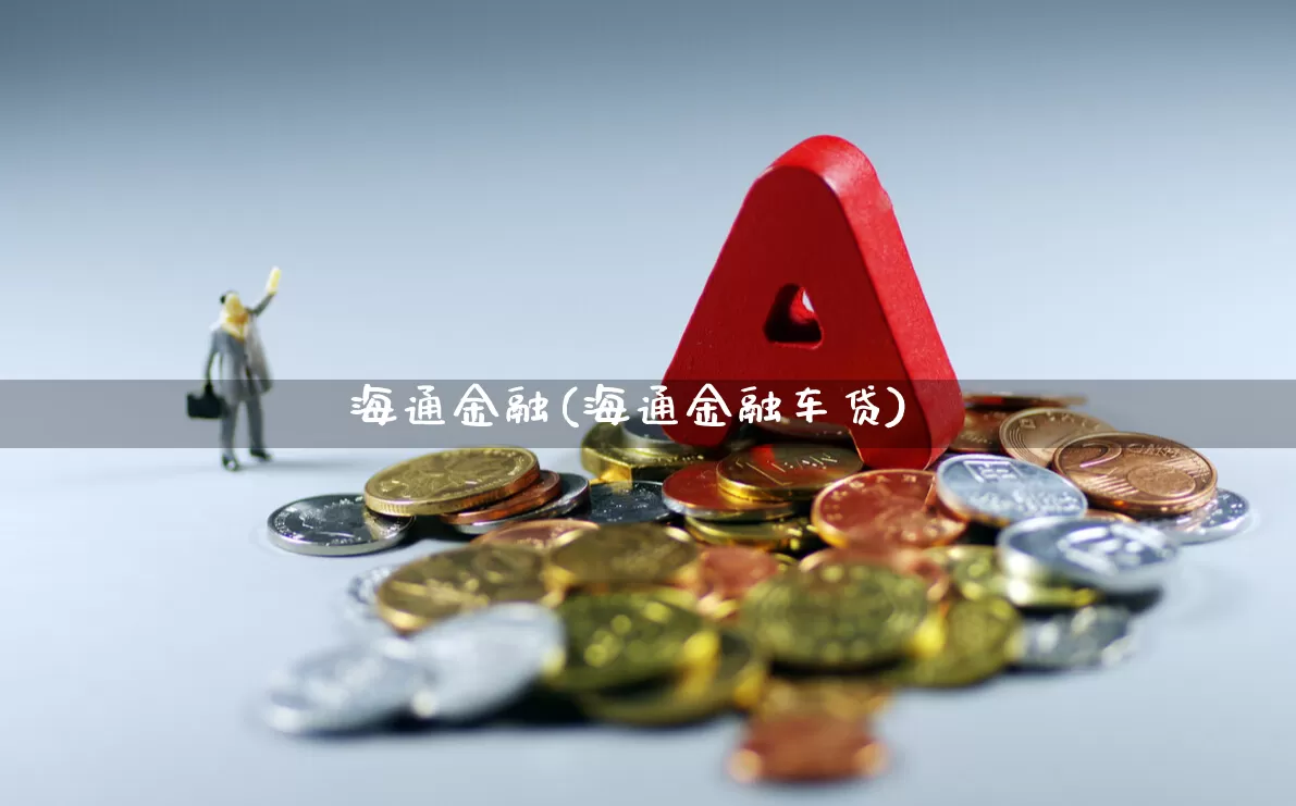 海通金融(海通金融车贷)_https://www.xzdzcjx.com_北交所_第1张