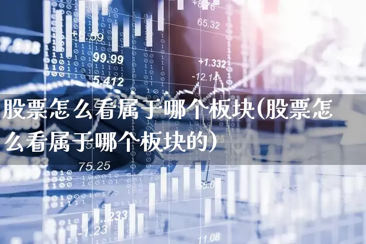 股票怎么看属于哪个板块(股票怎么看属于哪个板块的)_https://www.xzdzcjx.com_创业板_第1张