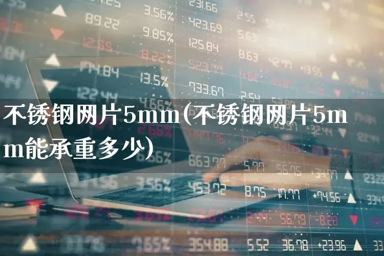 不锈钢网片5mm(不锈钢网片5mm能承重多少)_https://www.xzdzcjx.com_深交所_第1张