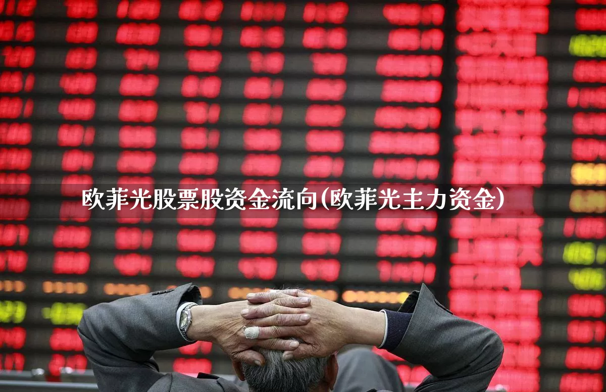 欧菲光股票股资金流向(欧菲光主力资金)_https://www.xzdzcjx.com_创业板_第1张