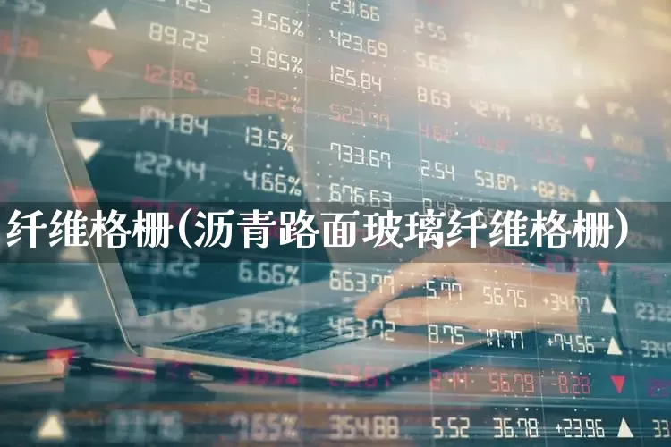 纤维格栅(沥青路面玻璃纤维格栅)_https://www.xzdzcjx.com_上交所_第1张