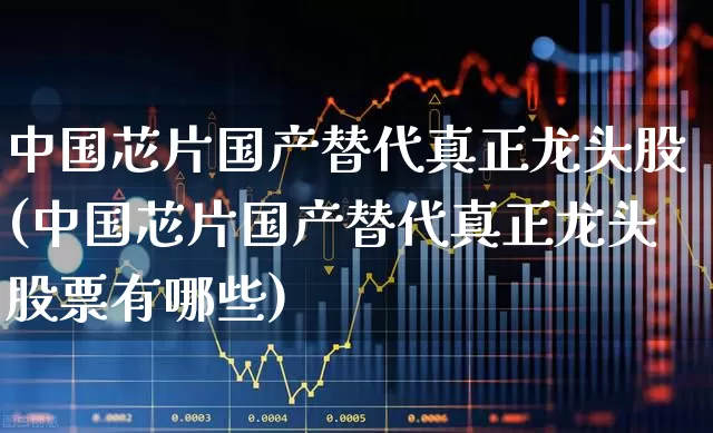 中国芯片国产替代真正龙头股(中国芯片国产替代真正龙头股票有哪些)_https://www.xzdzcjx.com_北交所_第1张