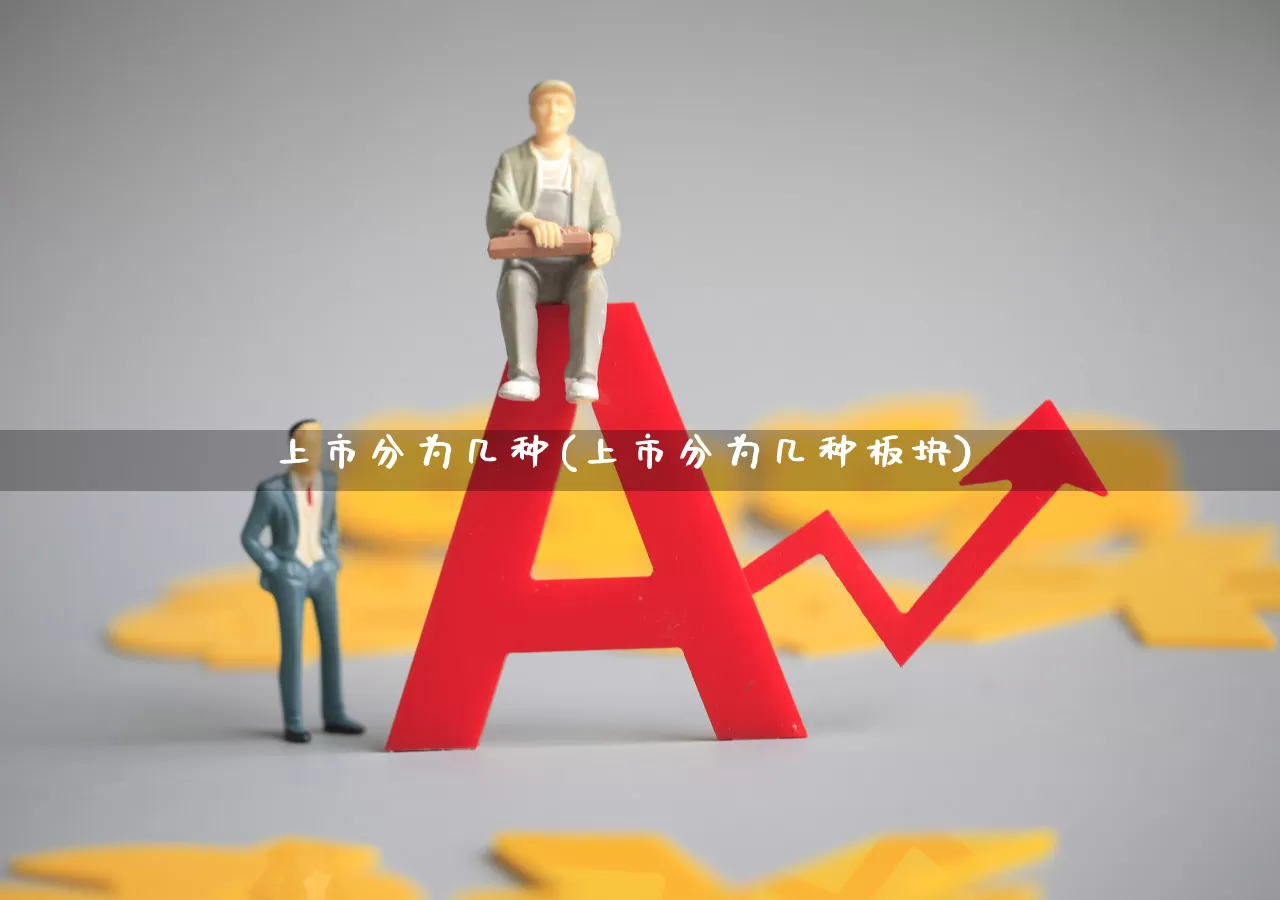 上市分为几种(上市分为几种板块)_https://www.xzdzcjx.com_创业板_第1张