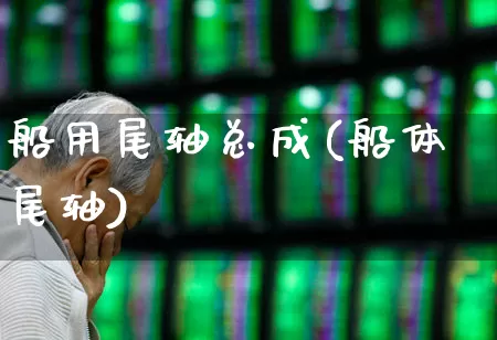 船用尾轴总成(船体尾轴)_https://www.xzdzcjx.com_北交所_第1张