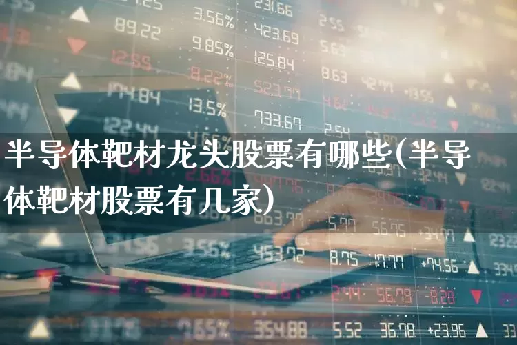 半导体靶材龙头股票有哪些(半导体靶材股票有几家)_https://www.xzdzcjx.com_北交所_第1张