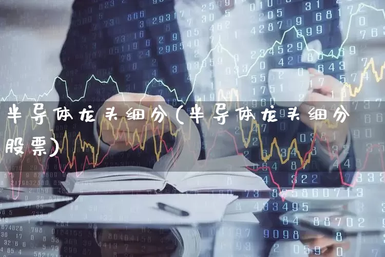 半导体龙头细分(半导体龙头细分股票)_https://www.xzdzcjx.com_科创板_第1张
