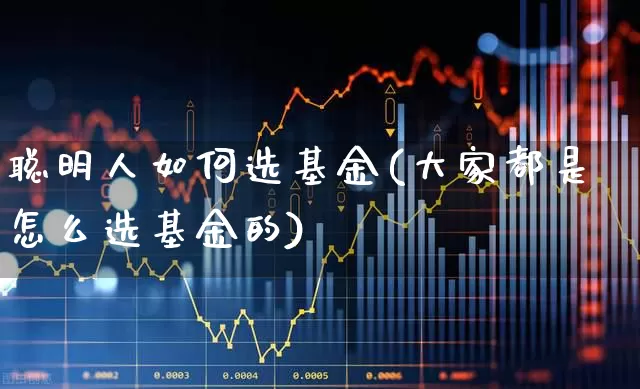 聪明人如何选基金(大家都是怎么选基金的)_https://www.xzdzcjx.com_深交所_第1张