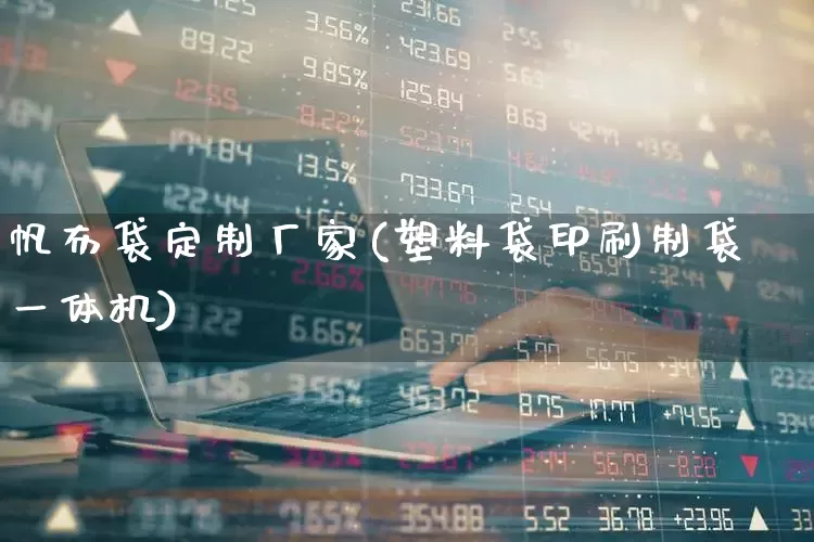 帆布袋定制厂家(塑料袋印刷制袋一体机)_https://www.xzdzcjx.com_北交所_第1张