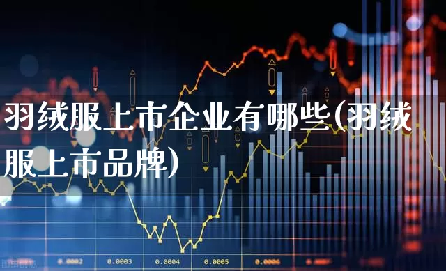 羽绒服上市企业有哪些(羽绒服上市品牌)_https://www.xzdzcjx.com_上交所_第1张