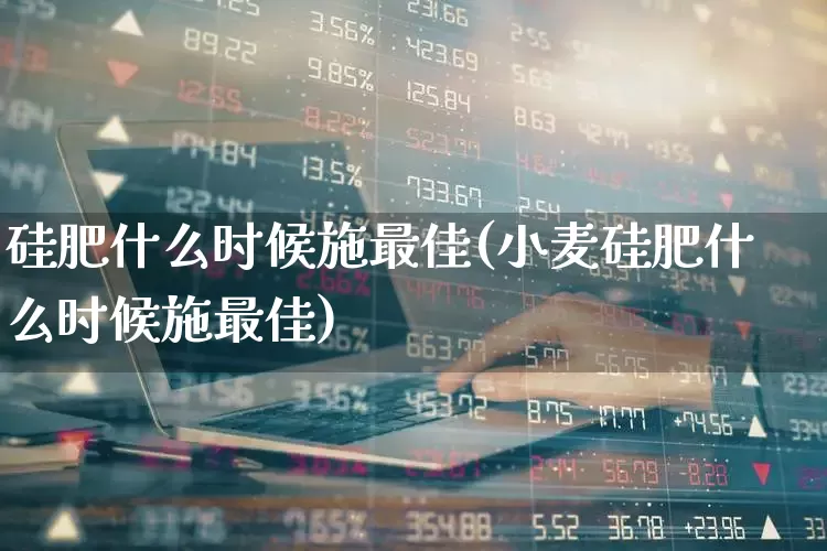 硅肥什么时候施最佳(小麦硅肥什么时候施最佳)_https://www.xzdzcjx.com_上交所_第1张