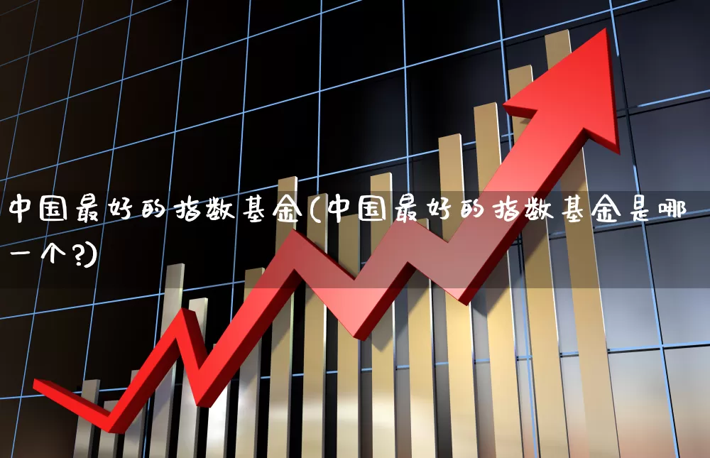 中国最好的指数基金(中国最好的指数基金是哪一个?)_https://www.xzdzcjx.com_上交所_第1张