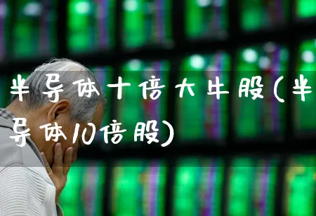 半导体十倍大牛股(半导体10倍股)_https://www.xzdzcjx.com_深交所_第1张
