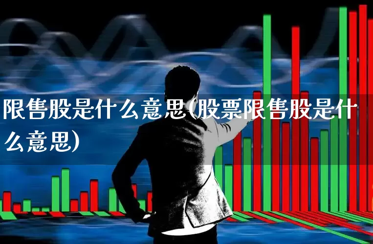限售股是什么意思(股票限售股是什么意思)_https://www.xzdzcjx.com_创业板_第1张